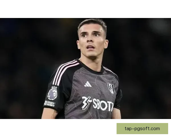 拜仁慕尼黑正式签下富勒姆中场帕利尼亚增强中场实力